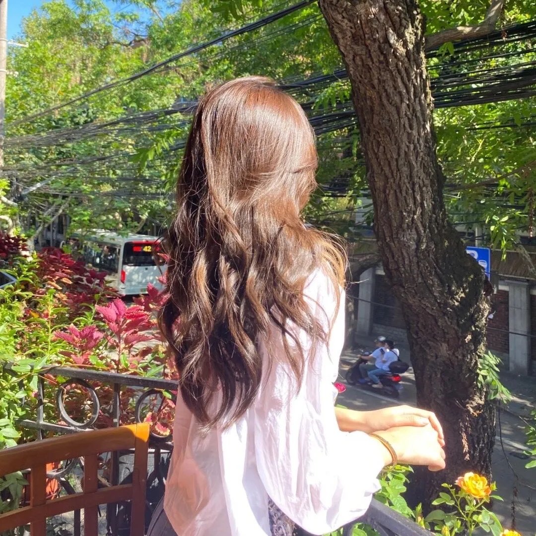 黑之契约者2:流星的双子