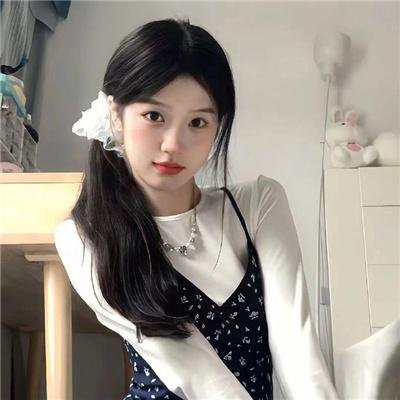 双面骗子虚假警察第二季